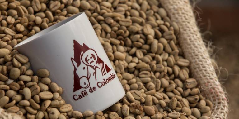 Producción colombiana de café cayó 6% en febrero pasado