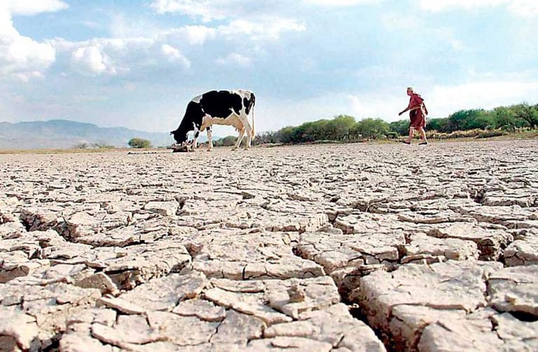 Fenómeno de El Niño sería débil y no generaría restricción de energía