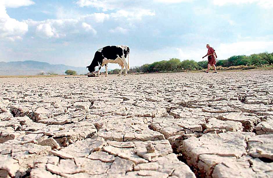 Aumenta probabilidad de fenómeno de El Niño
