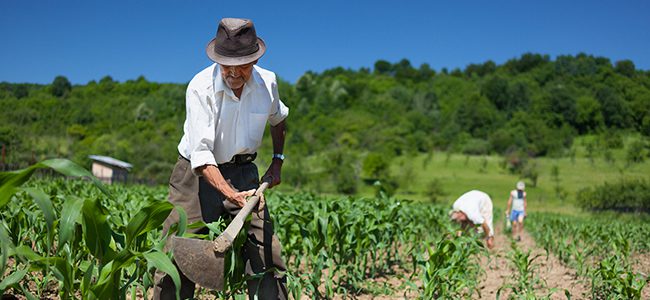 agro en Colombia