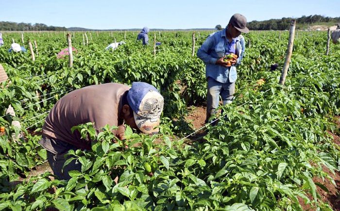 Subió índice de precios del productor nacional en abril