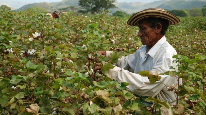 Estados Unidos y Colombia lanzan programa ‘Colombia Crece’