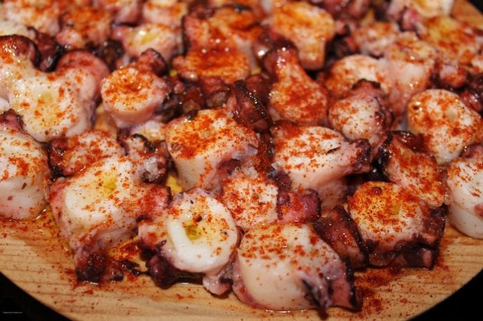 pulpo.jpg