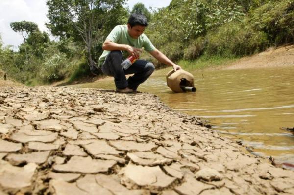 Condiciones de El Niño se intensificarían entre diciembre y febrero