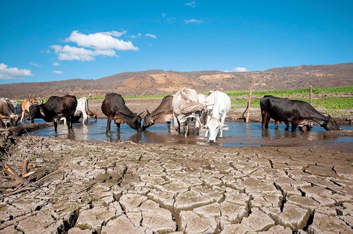 Probabilidad de El Niño llega a 70 % para finales de este año
