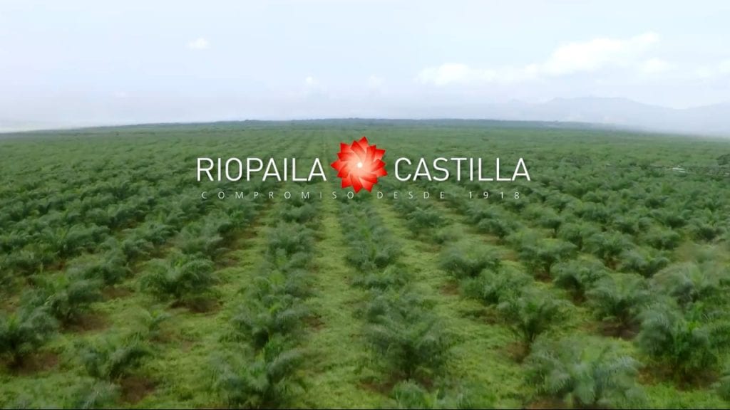 Pedro Cardona López es el nuevo presidente de Riopaila
