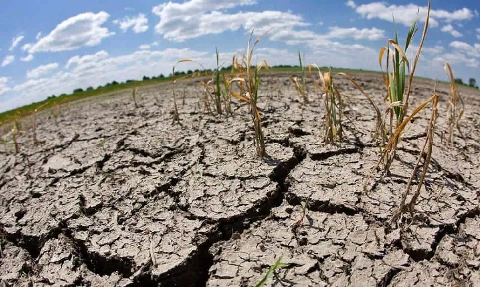 Hay 70% de probabilidad que el fenómeno de El Niño se extienda hasta agosto Hay 70% de probabilidad que el fenómeno de El Niño se extienda hasta agosto