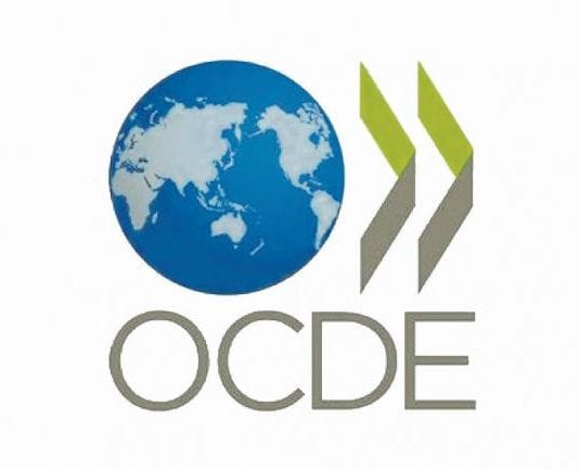 Informalidad y productividad laboral, principales desafíos económicos de Colombia según la Ocde