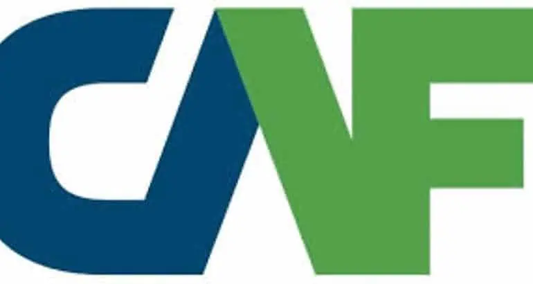 CAF emite bonos verdes por US$384 millones para proyectos sostenibles en América Latina CAF emite bonos verdes por US$384 millones para proyectos sostenibles en América Latina
