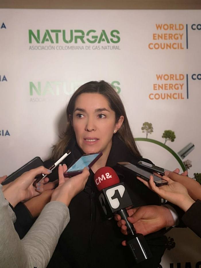 MinMinas: Colombia va a depender de gas importado
