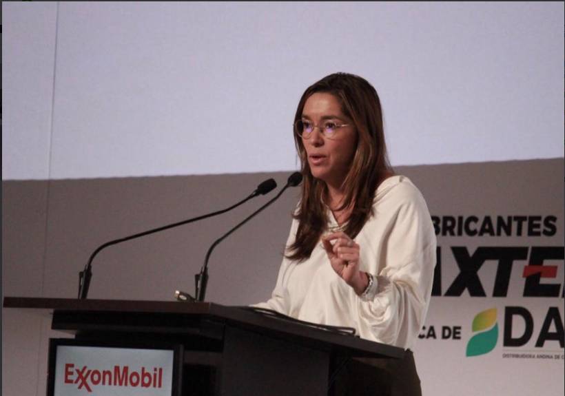 MinMinas ya presentó derecho de súplica al Consejo de Estado por limitaciones a fracking