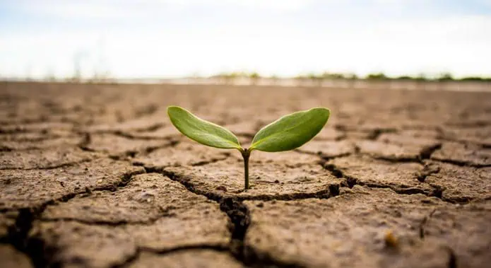 Cambio climático será clave para definir el futuro de los mercados financieros Cambio climático será clave para definir el futuro de los mercados financieros