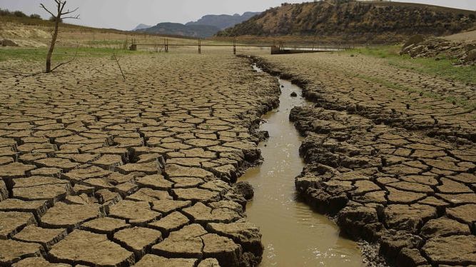 Pronóstico IRI muestra condiciones débiles de El Niño desde febrero hasta junio