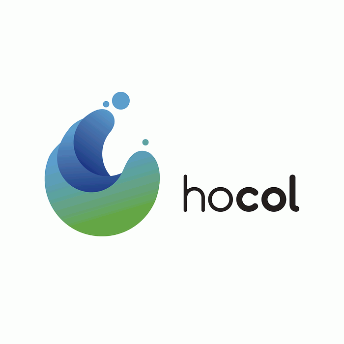 Rafael Guzmán Ayala es el nuevo presidente de Hocol