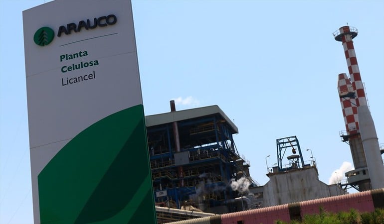 Fitch Ratings asignó calificación 'BBB' a notas senior de Arauco