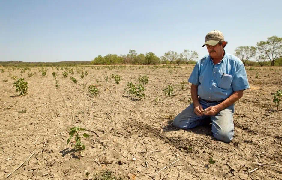 Banco Agrario apoyará a productores afectados por el intenso verano Banco Agrario apoyará a productores afectados por el intenso verano