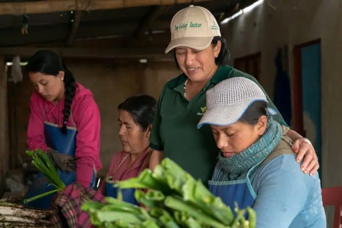 Gobierno Petro envió mensaje de urgencia para el proyecto de ley de jurisdicción agraria Campesinos
