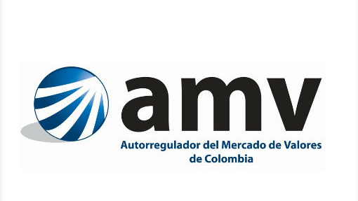 Estos son los nuevos integrantes del Consejo Directivo del AMV Estos son los nuevos integrantes del Consejo Directivo del AMV