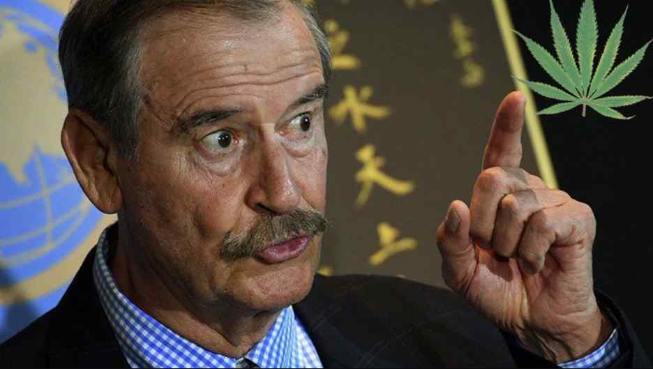 Khiron: Colombia debe perderle el miedo a la industria del cannabis Khiron: Colombia debe perderle el miedo a la industria del cannabis