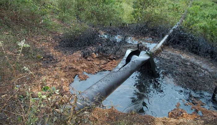 Atentan contra Oleoducto Transandino en Putumayo