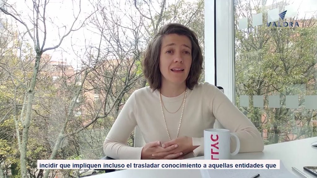 Responsabilidad Política de las Empresas
