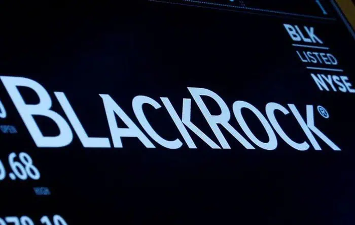 CEO de BlackRock entrega ruta de navegación para 2021; prioridad, medioambiente CEO de BlackRock entrega ruta de navegación para 2021; prioridad, medioambiente