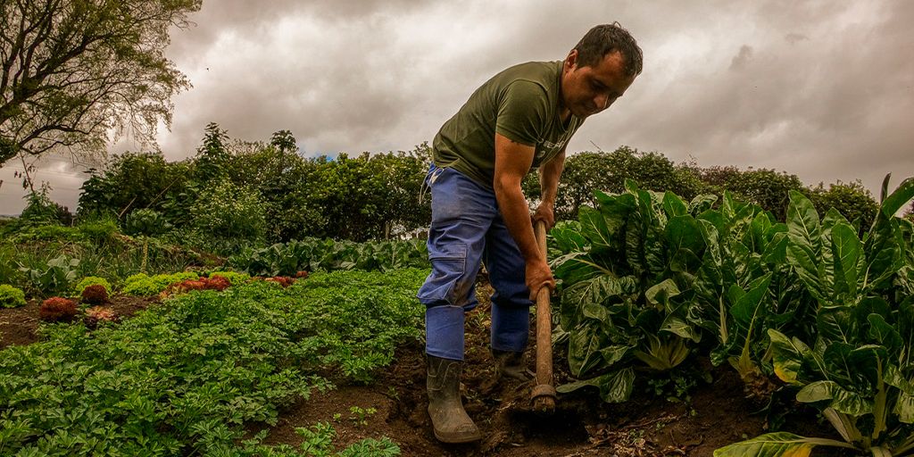 Los campesinos podrán acceder a procesos jurídicos más rápidos