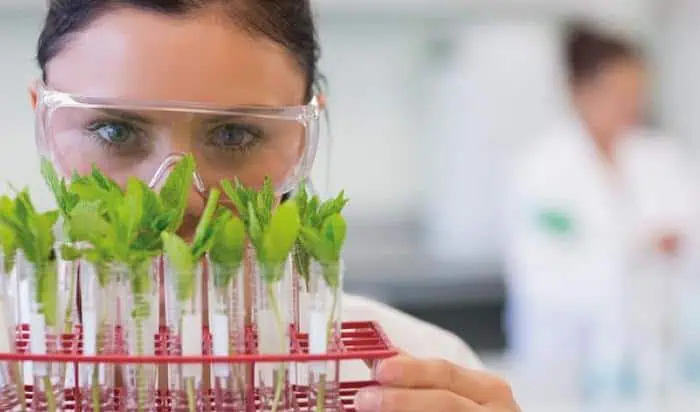 Compañías de cannabis son declaradas proyectos de interés estratégico en Colombia Minciencias y Colfuturo llegan a registro histórico en convocatoria de crédito-beca