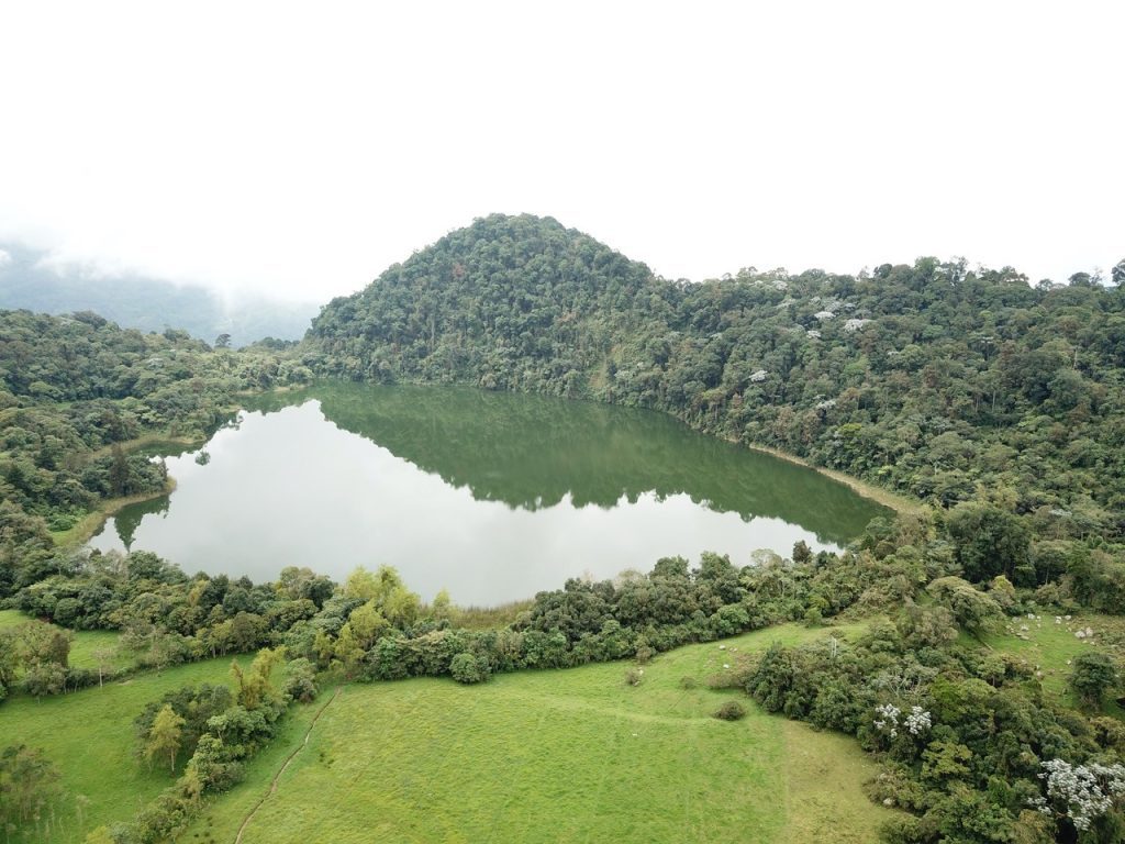 Banco de Bogotá participa en alianza para la recuperación del río Bogotá