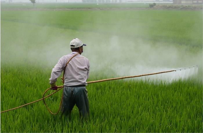 Agro, pieza clave en la reactivación en Colombia; habrá subsidios de $250.000 millones en créditos en 2021