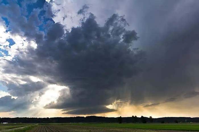 Sigue baja probabilidad de fenómenos de El Niño o La Niña en América Latina Sigue baja probabilidad de fenómenos de El Niño o La Niña en América Latina
