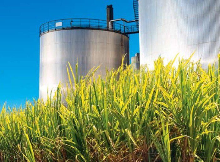 Decretan liquidación de Bioenergy, filial de Ecopetrol