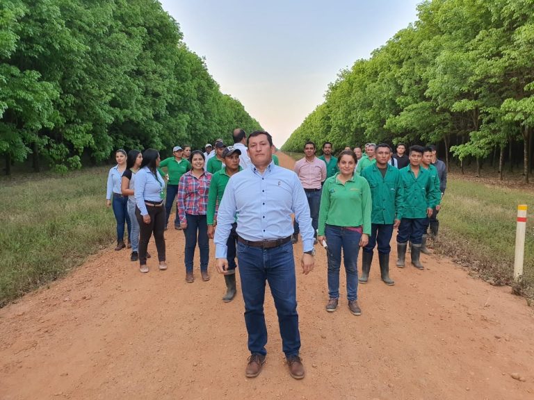 Francisco Bejarano, presidente de Organización Pajonales