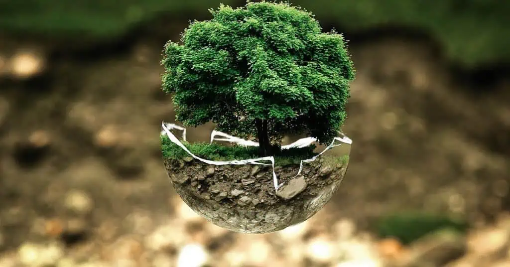 Bogotá y sector privado firman pacto para mejorar calidad del aire Medio ambiente (Foto Pixabay)