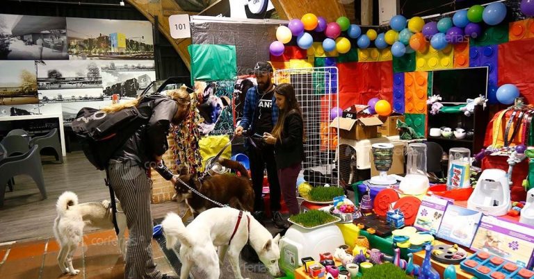 Econexia lanzó ecosistema para reactivar las MiPymes con apoyo de Corferias MiPymes, Pymes Econexia (Foto Corferias)
