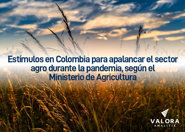 Especial multimedia: ¡Sector agro: salve usted la patria!