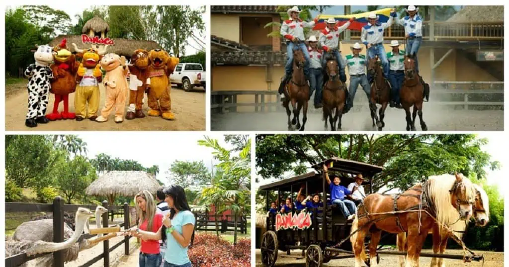 Supersociedades admitió en proceso de reorganización al parque Panaca Supersociedades admitió en proceso de reorganización al parque Panaca