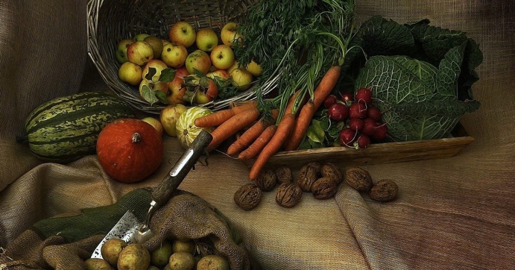 Agro, agricultura, cosecha (Foto Pixabay)