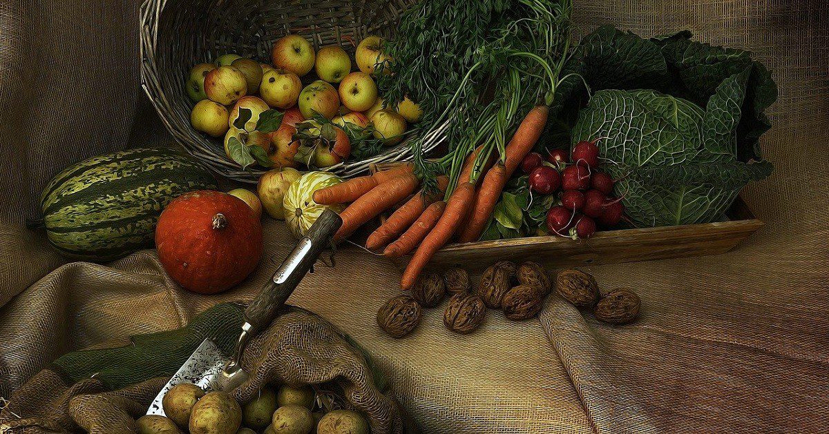 Agro, agricultura, cosecha (Foto Pixabay) Agro, agricultura, cosecha (Foto Pixabay)
