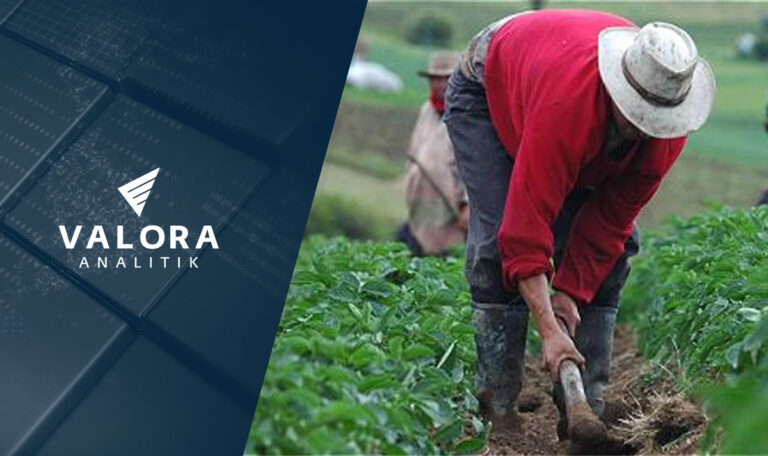 Avanza la #Papatón en Bogotá para ayudar a productores del campo Papatón