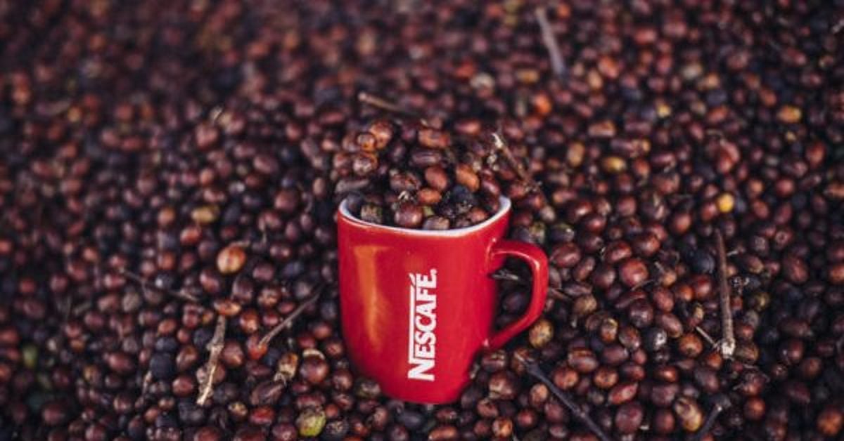 Plan Nescafé (Foto SiTeMarca.com) Plan Nescafé (Foto SiTeMarca.com)