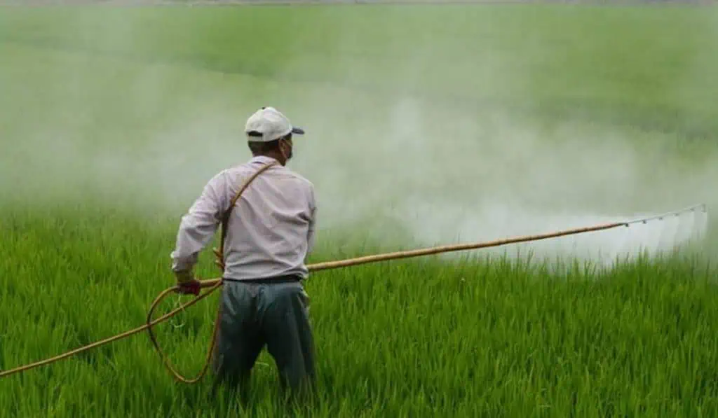 Agroquimicos-Fumigacion-Cultivos-Archivo Por qué el Gobierno De la Espriella eliminará las áreas de protección para la producción de alimentos y qué regiones afectan