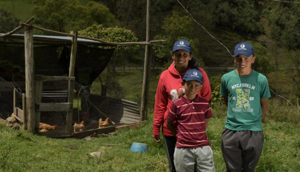 Banco de Bogotá, en alianza con Usaid, amplía la oferta de crédito digital para agro colombiano