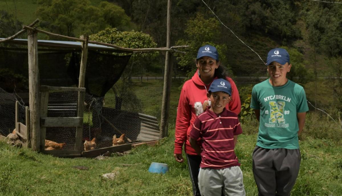 Banco de Bogotá, en alianza con Usaid, amplía la oferta de crédito digital para agro colombiano Banco de Bogotá, en alianza con Usaid, amplía la oferta de crédito digital para agro colombiano