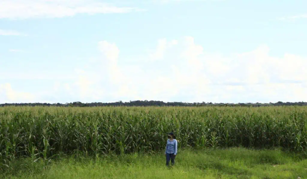 Radican reforma para crear jurisdicción agraria y rural en Colombia Jhenifer Mojica. ministra de Agricultura habla de nuevo proyecto de decreto.