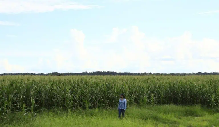 Jhenifer Mojica. ministra de Agricultura habla de nuevo proyecto de decreto.