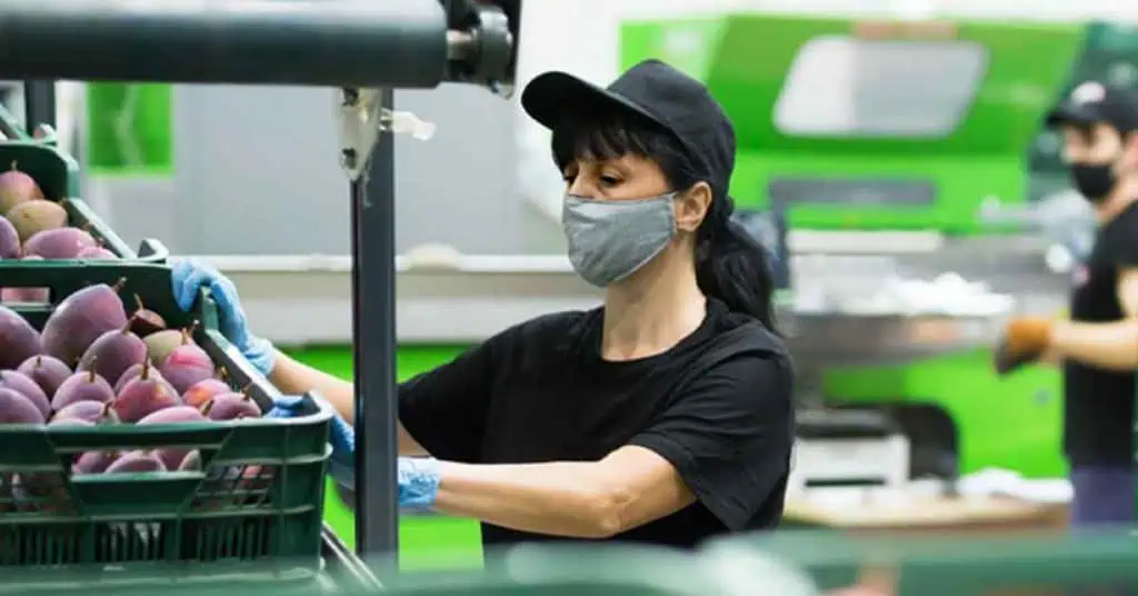 Proyecto de ley de reducción de jornada laboral en Colombia, ¿qué implicaciones tiene? Prosperidad Social se encuentra desarrollando el programa Empléate sin fronteras, el cual prioriza el acceso de las mujeres.