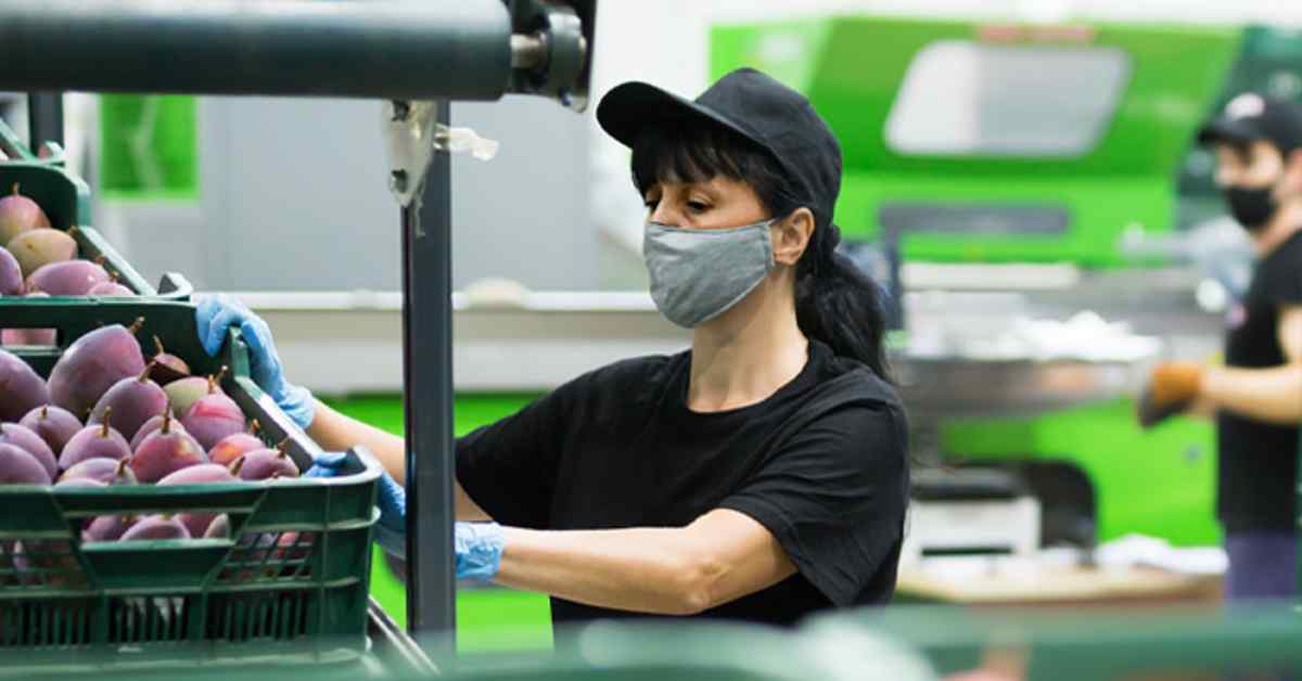 Empleo Prosperidad Social se encuentra desarrollando el programa Empléate sin fronteras, el cual prioriza el acceso de las mujeres.