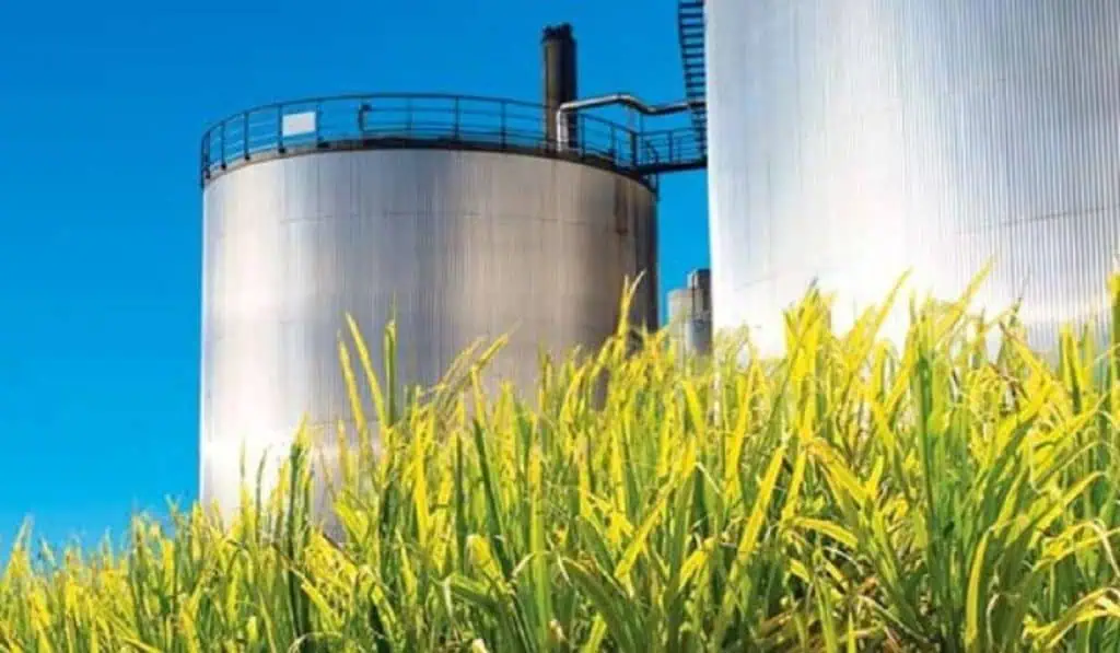 Nueve empresas están interesadas en adquirir a Bioenergy en Colombia Nueve empresas están interesadas en adquirir a Bioenergy en Colombia