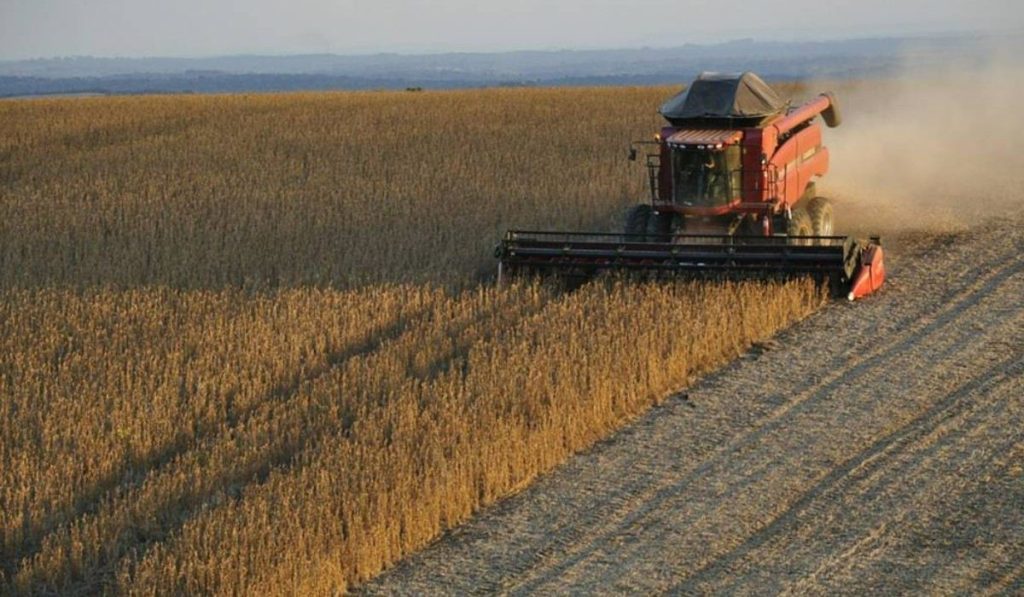 Exportaciones argentinas crecieron 9,1 % en febrero: Indec